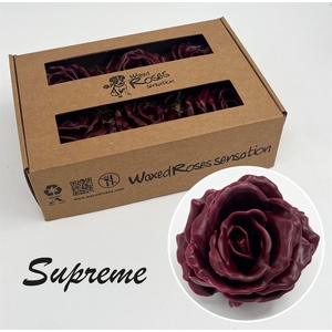 Zijde R Supreme Bordeaux Wx