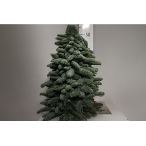 Kerstboom Nobilis 50