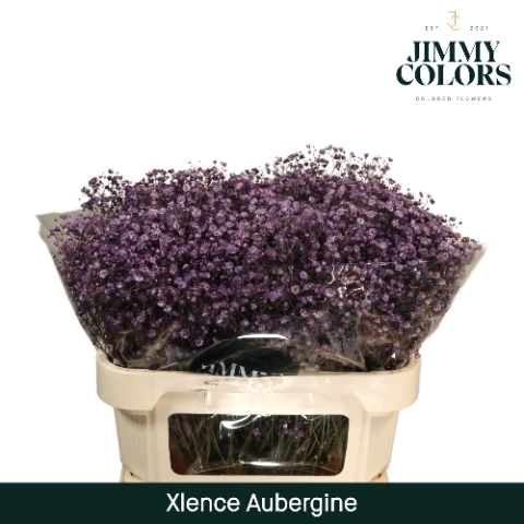 <h4>Gyps Xlence l70 Aubergine</h4>