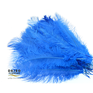 Dried Ostrich Feather Dark Blue Big