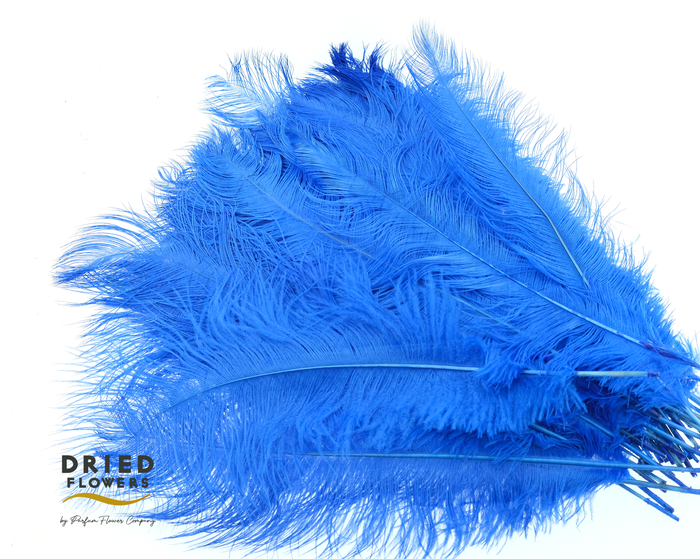 <h4>Dried Ostrich Feather Dark Blue Big</h4>