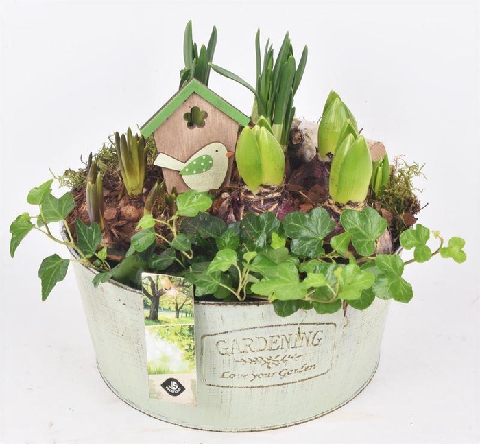 <h4>Zink rond green antic 22cm</h4>