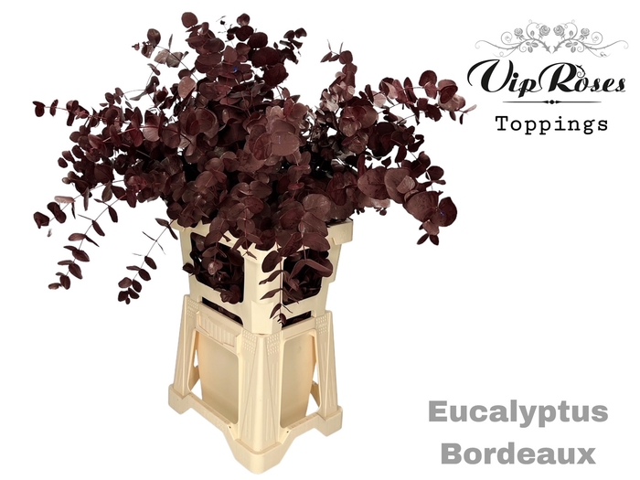 EUCA CINEREA BORDEAUX 300GR