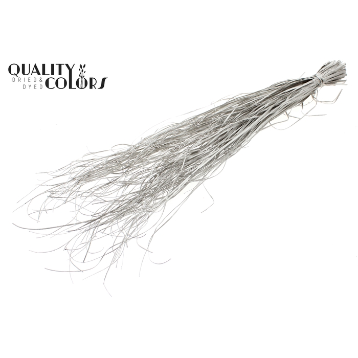 <h4>Beargrass dried per bunch Platina</h4>