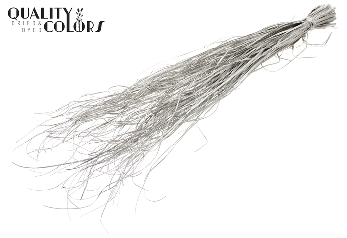 Beargrass dried per bunch Platina