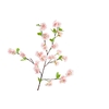 Blossom Pink