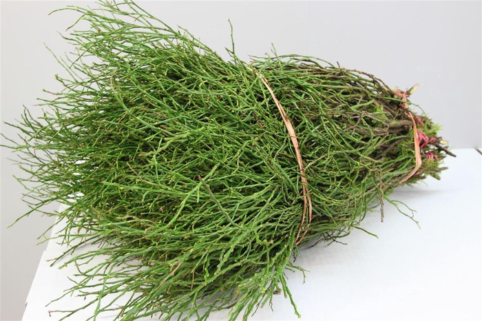 <h4>Heidelbeer Per Bos</h4>