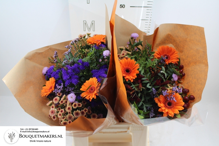 <h4>GEM BOEKET OV</h4>