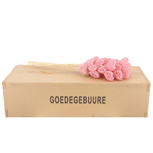 HARTJE OP STOK H%