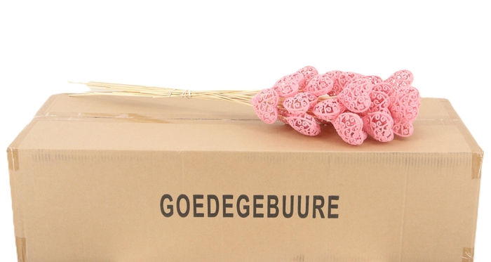 <h4>HARTJE OP STOK H%</h4>