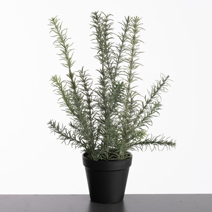 <h4>AF Rosemarinus pot H41cm Green</h4>