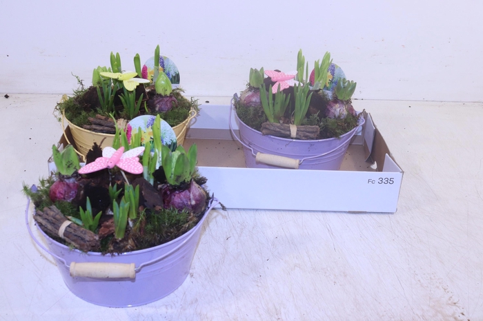 <h4>ARR BOL KNOLGEWAS</h4>