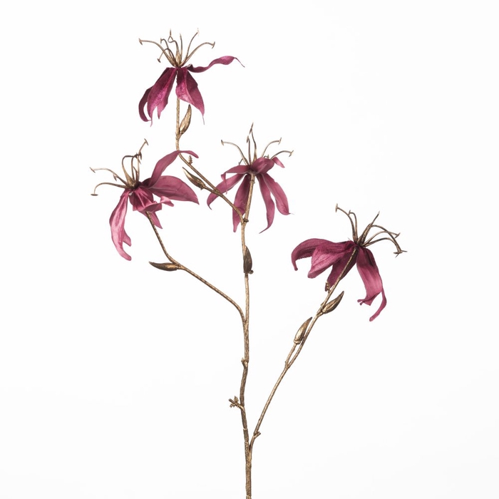 <h4>Af Gloriosa X4 L80cm Magenta</h4>