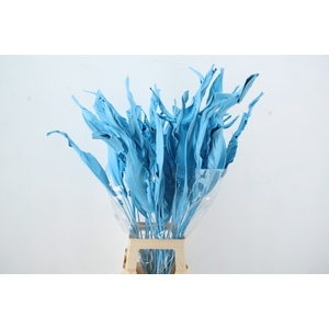 DF Strelitzia Leaf Light Blue