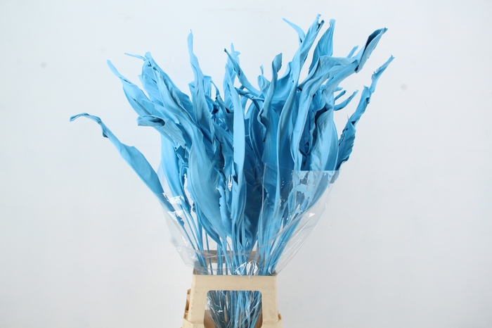 <h4>DF Strelitzia Leaf Light Blue</h4>