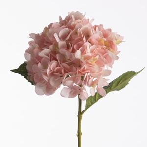 Af Hydrangea L64cm Pink