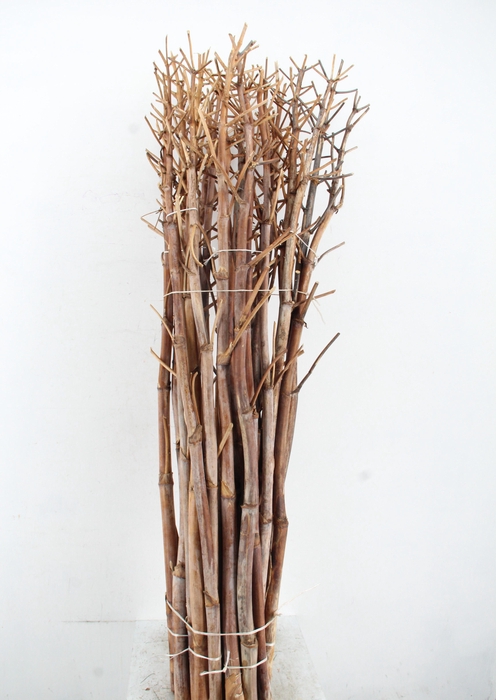 <h4>DF Ferule Kapstok</h4>