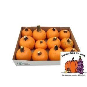 CUC HALLOWEEN