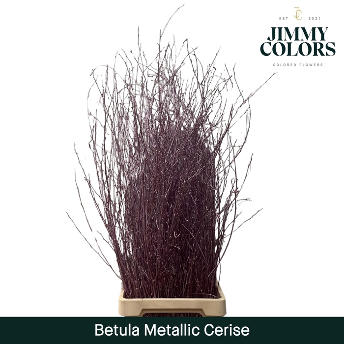 <h4>Betula L120 Mtlc. Cerise</h4>