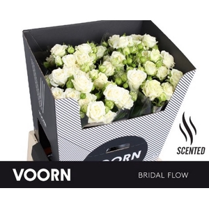 R Tr Bridal Flow Voorn