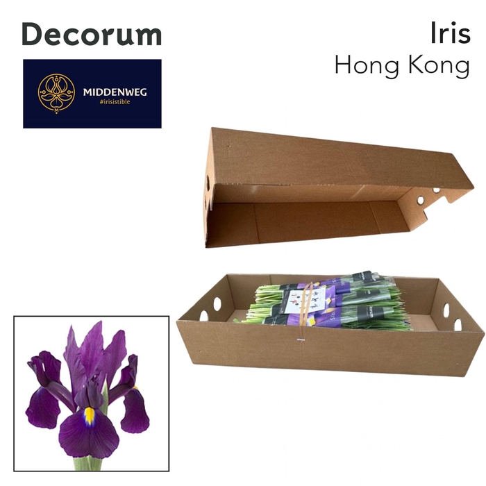 <h4>Iris Hong Kong Pre-Packed Decorum</h4>