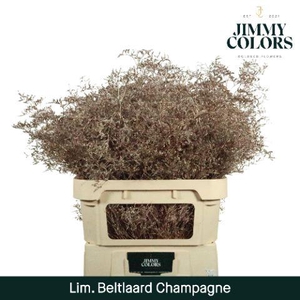 Lim Bel L90 Metallic champagne