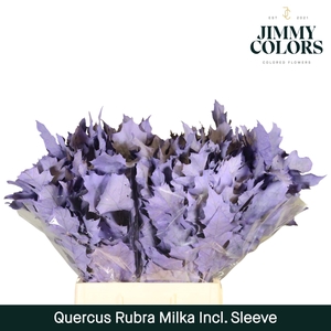 Quercus Rubra sleeve L60 Milka