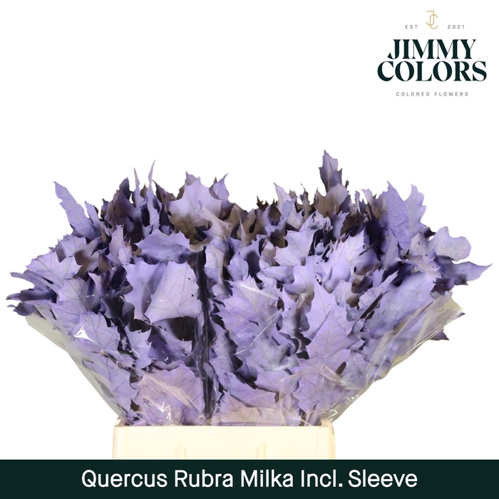 <h4>Quercus Rubra sleeve L60 Milka</h4>