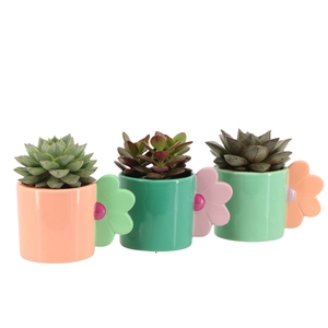 Arr.   Planten L%