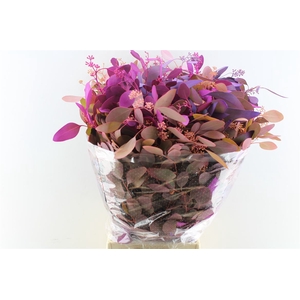Euca Populus Berry Purple Mix 300 Gram