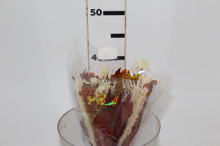 <h4>PLANTA SECA JAZIDA AMARELO 30CM</h4>