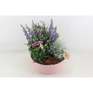 arr4 Outdoor PL - Ker. schaal Dido