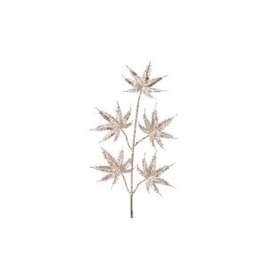 Pick Shine Maple Cozy Champagne 44cm Per 12