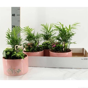 ARR KAMERPL GROEN