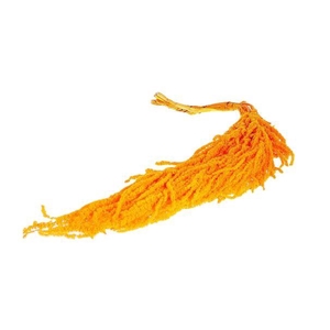 Bunch Amaranthus Caud. Pres 5pcs L90