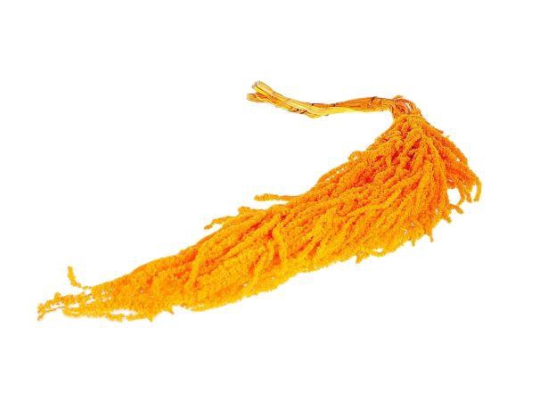 Bunch Amaranthus Caud. Pres 5pcs L90