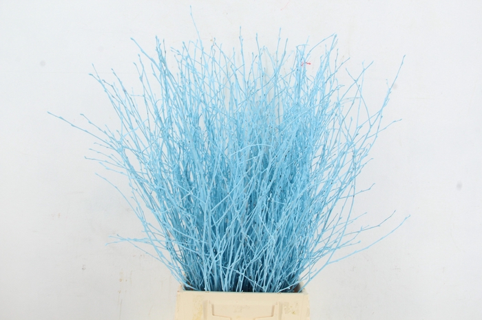 <h4>Betula Bs Paint Light Blue</h4>