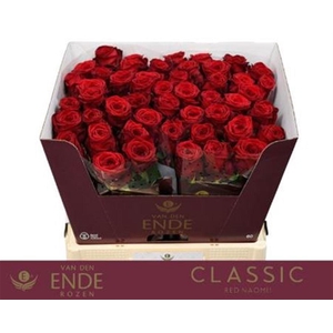 R Gr Red Naomi! A Van Der Ende Legend