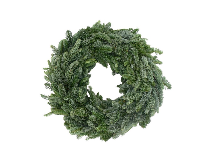<h4>Krans Nobilis Half 50cm</h4>