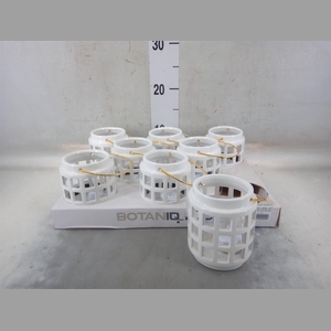 Decoratieve materialen   ...H%