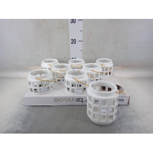 Decoratieve materialen   ...H%