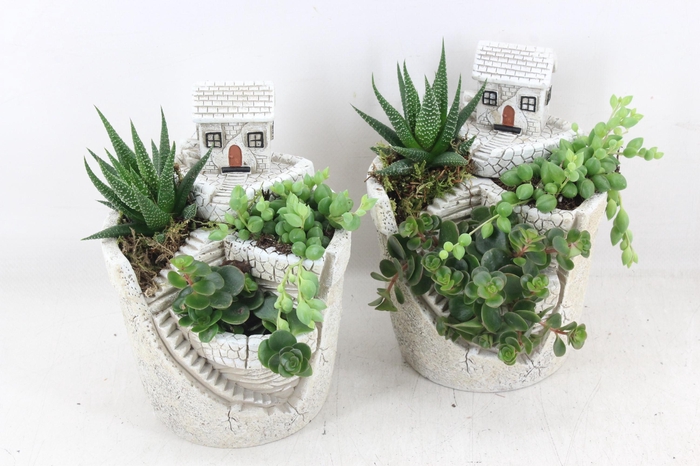 <h4>arr3 SN - Hill top house/garden</h4>