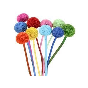 CRASPEDIA JUMBO NATURAL RAINBOW Tessa