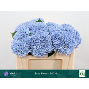 HYDR M MAG PI FLOY B