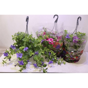 arr8 Hanging Baskets