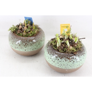 arr4 Bollenmix MB - Ker. bolpot luxe L 338/3