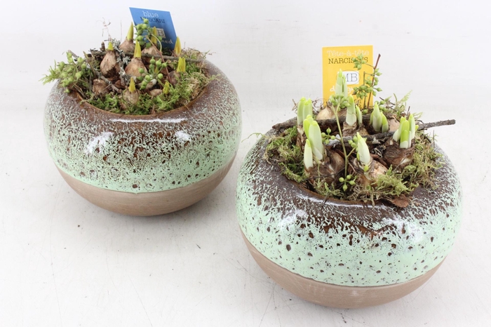 <h4>arr4 Bollenmix MB - Ker. bolpot luxe L 338/3</h4>