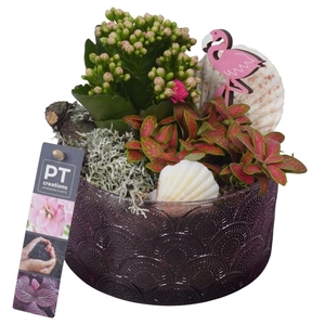 Arr.   Planten L%