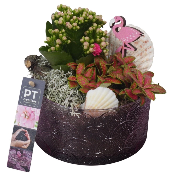 <h4>Arr.   Planten L%</h4>