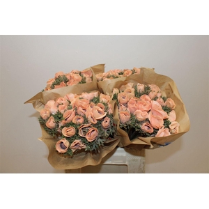 Anem Marianne Powder Orange